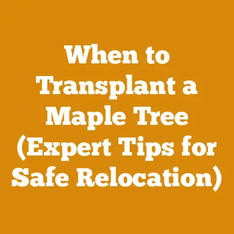 When to Transplant a Maple Tree (Expert Tips for Safe Relocation)