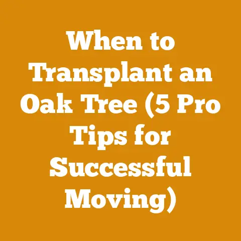 When to Transplant an Oak Tree (5 Pro Tips for Successful Moving)