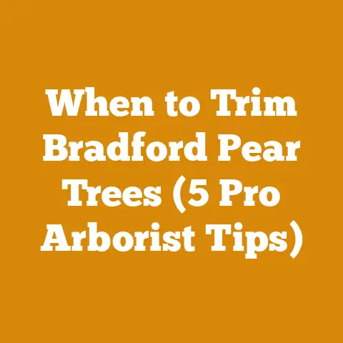 When to Trim Bradford Pear Trees (5 Pro Arborist Tips)