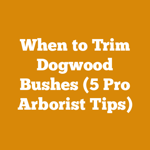When to Trim Dogwood Bushes (5 Pro Arborist Tips)