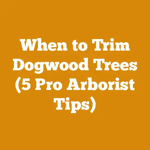 When to Trim Dogwood Trees (5 Pro Arborist Tips)
