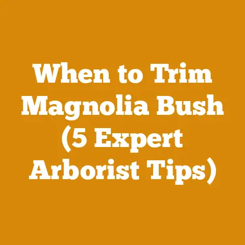 When to Trim Magnolia Bush (5 Expert Arborist Tips)