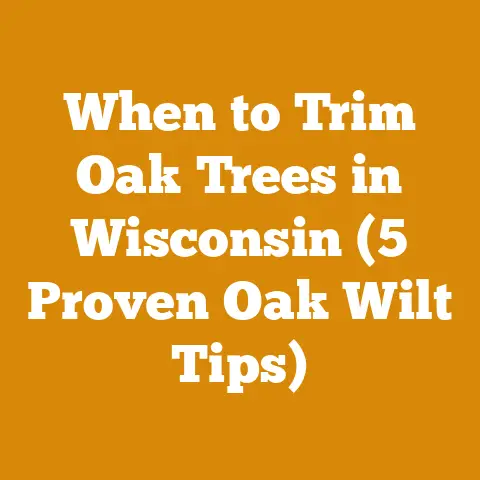 When to Trim Oak Trees in Wisconsin (5 Proven Oak Wilt Tips)