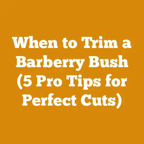 When to Trim a Barberry Bush (5 Pro Tips for Perfect Cuts)