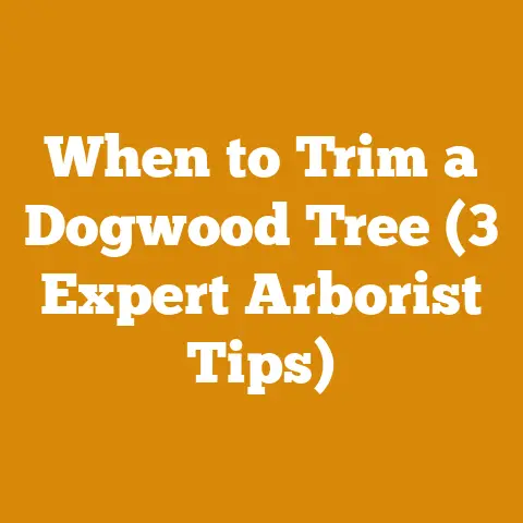 When to Trim a Dogwood Tree (3 Expert Arborist Tips)