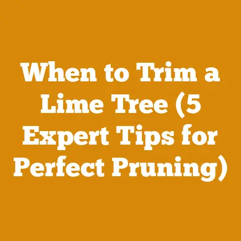 When to Trim a Lime Tree (5 Expert Tips for Perfect Pruning)