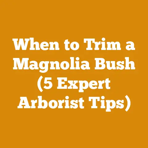 When to Trim a Magnolia Bush (5 Expert Arborist Tips)