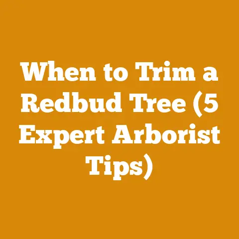 When to Trim a Redbud Tree (5 Expert Arborist Tips)
