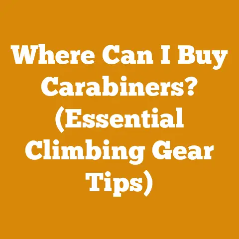 Where Can I Buy Carabiners? (Essential Climbing Gear Tips)