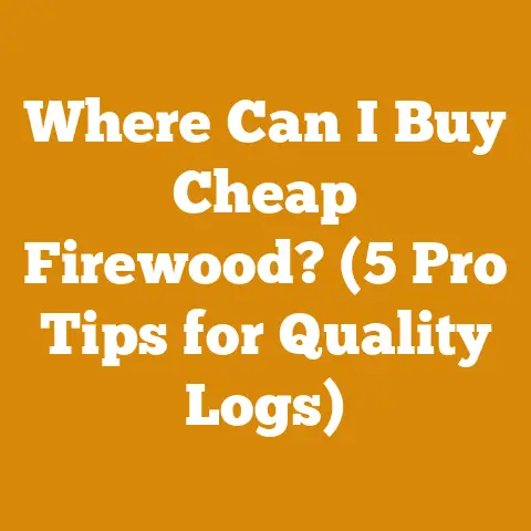 Where Can I Buy Cheap Firewood? (5 Pro Tips for Quality Logs)