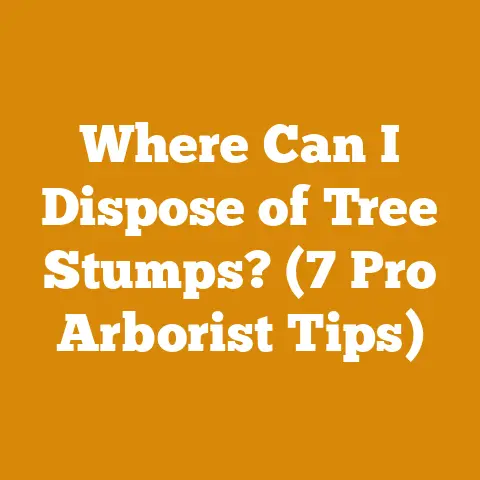 Where Can I Dispose of Tree Stumps? (7 Pro Arborist Tips)
