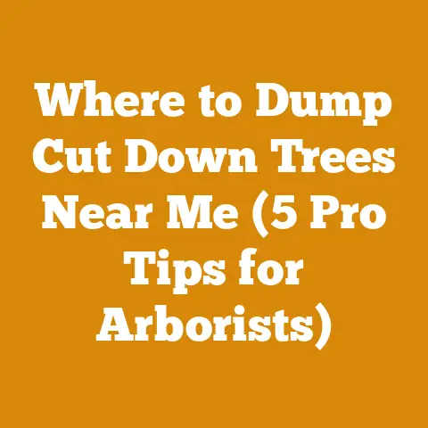 Where to Dump Cut Down Trees Near Me (5 Pro Tips for Arborists)