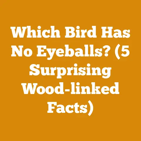 Which Bird Has No Eyeballs? (5 Surprising Wood-linked Facts)