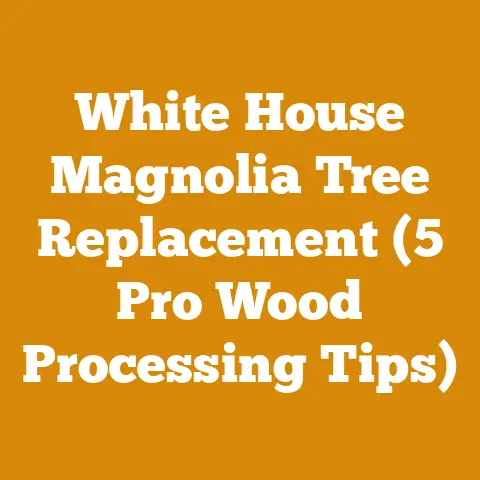 White House Magnolia Tree Replacement (5 Pro Wood Processing Tips)
