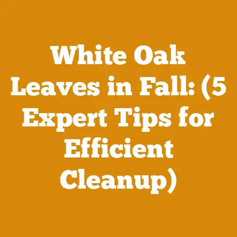 White Oak Leaves in Fall: (5 Expert Tips for Efficient Cleanup)