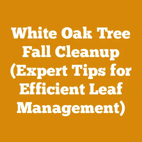White Oak Tree Fall Cleanup (Expert Tips for Efficient Leaf Management)