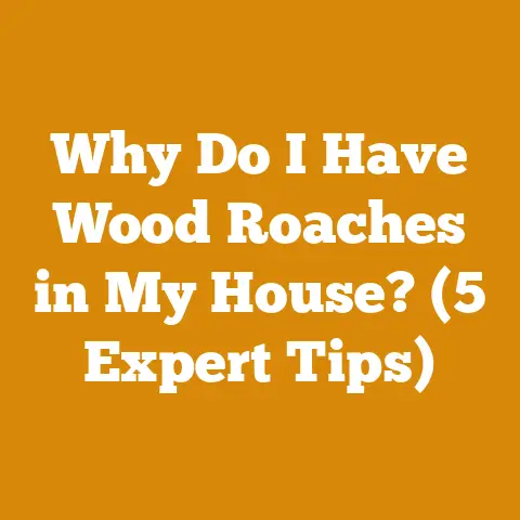 Why Do I Have Wood Roaches in My House? (5 Expert Tips)