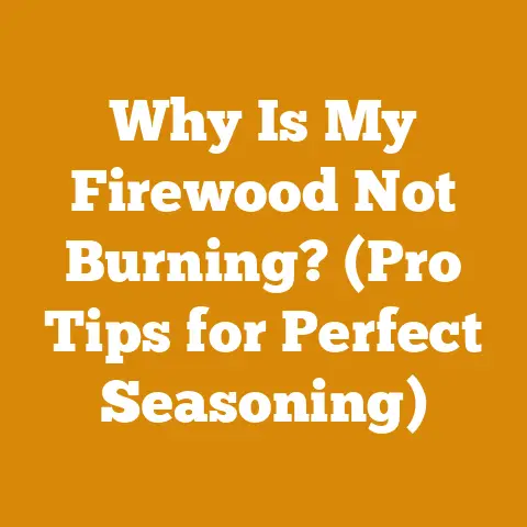 Why Is My Firewood Not Burning? (Pro Tips for Perfect Seasoning)