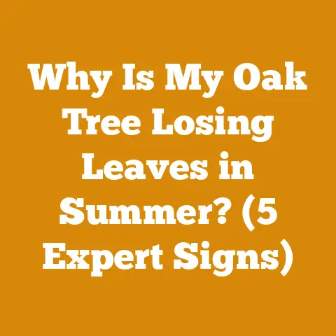 Why Is My Oak Tree Losing Leaves in Summer? (5 Expert Signs)