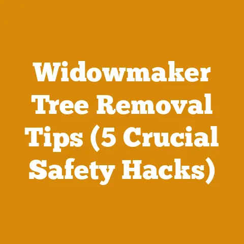 Widowmaker Tree Removal Tips (5 Crucial Safety Hacks)