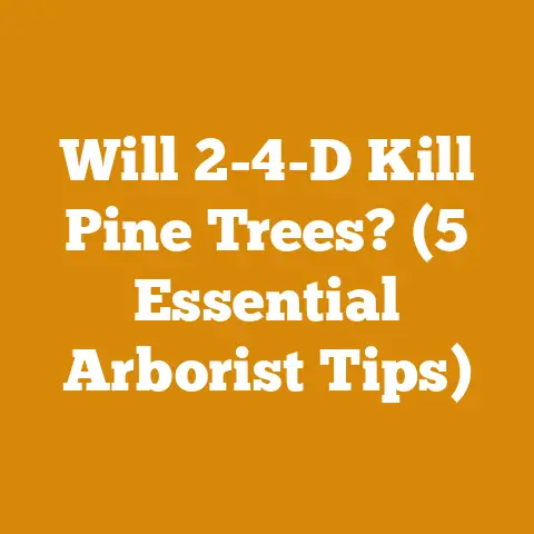 Will 2-4-D Kill Pine Trees? (5 Essential Arborist Tips)