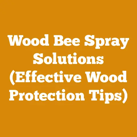 Wood Bee Spray Solutions (Effective Wood Protection Tips)