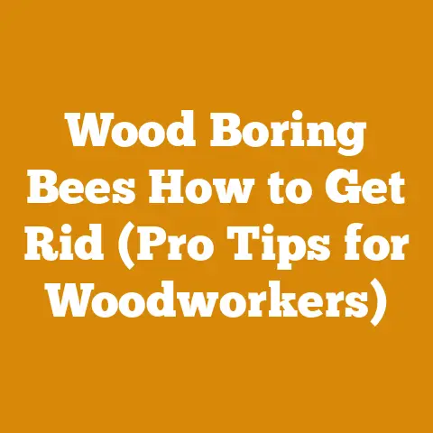 Wood Boring Bees How to Get Rid (Pro Tips for Woodworkers)