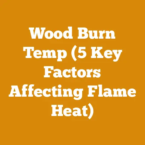 Wood Burn Temp (5 Key Factors Affecting Flame Heat)