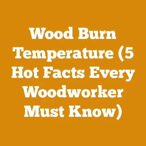 Wood Burn Temperature (5 Hot Facts Every Woodworker Must Know)