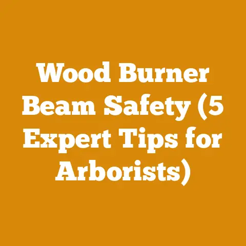 Wood Burner Beam Safety (5 Expert Tips for Arborists)