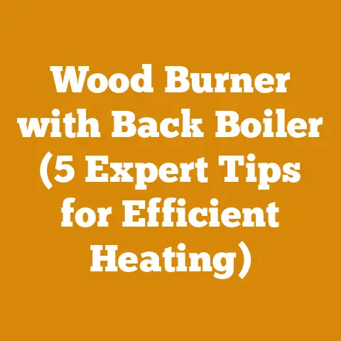 Wood Burner with Back Boiler (5 Expert Tips for Efficient Heating)
