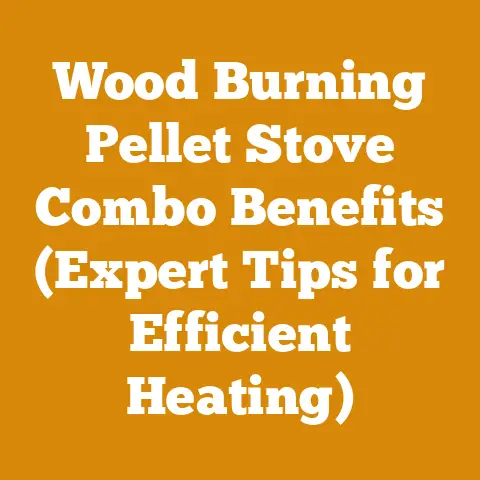 Wood Burning Pellet Stove Combo Benefits (Expert Tips for Efficient Heating)