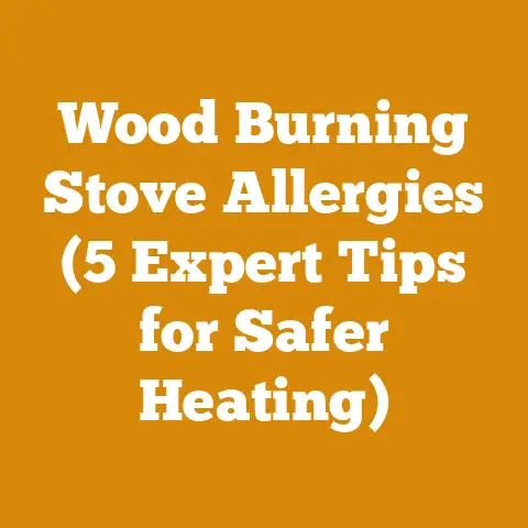 Wood Burning Stove Allergies (5 Expert Tips for Safer Heating)