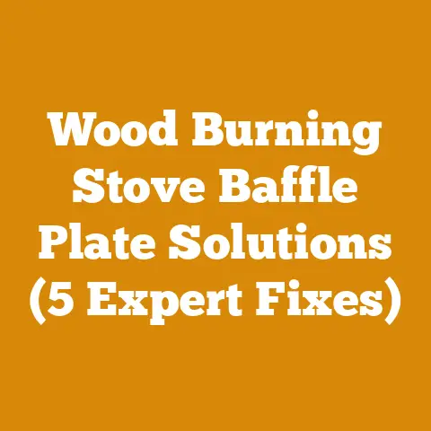 Wood Burning Stove Baffle Plate Solutions (5 Expert Fixes)