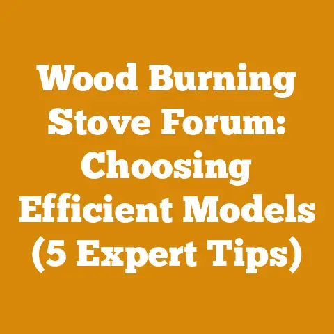 Wood Burning Stove Forum: Choosing Efficient Models (5 Expert Tips)