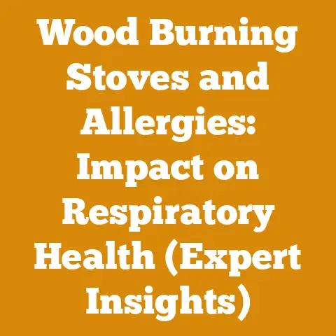 Wood Burning Stoves and Allergies: Impact on Respiratory Health (Expert Insights)