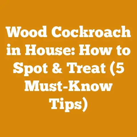 Wood Cockroach in House: How to Spot & Treat (5 Must-Know Tips)