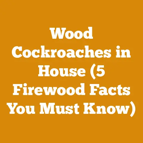Wood Cockroaches in House (5 Firewood Facts You Must Know)