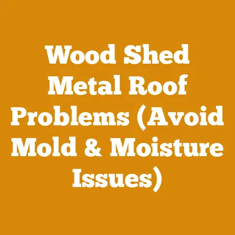 Wood Shed Metal Roof Problems (Avoid Mold & Moisture Issues)