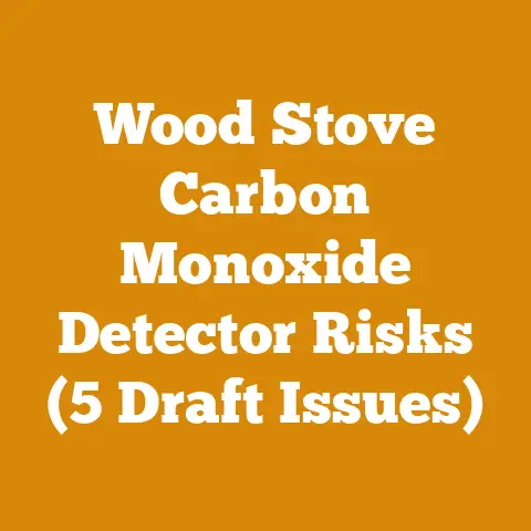 Wood Stove Carbon Monoxide Detector Risks (5 Draft Issues)