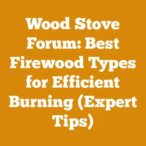 Wood Stove Forum: Best Firewood Types for Efficient Burning (Expert Tips)