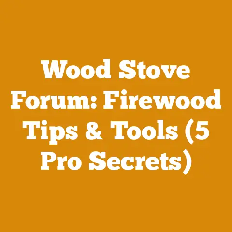 Wood Stove Forum: Firewood Tips & Tools (5 Pro Secrets)
