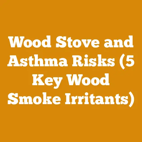 Wood Stove and Asthma Risks (5 Key Wood Smoke Irritants)