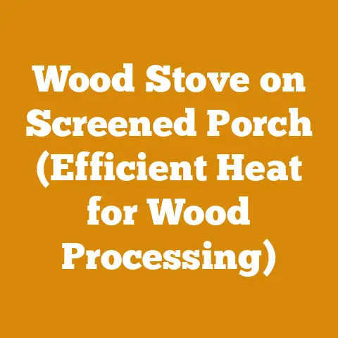 Wood Stove on Screened Porch (Efficient Heat for Wood Processing)