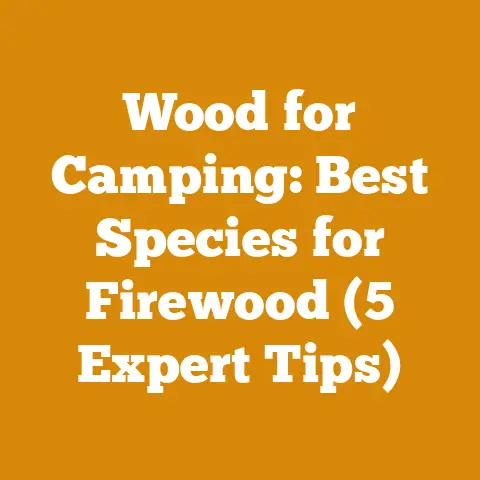 Wood for Camping: Best Species for Firewood (5 Expert Tips)