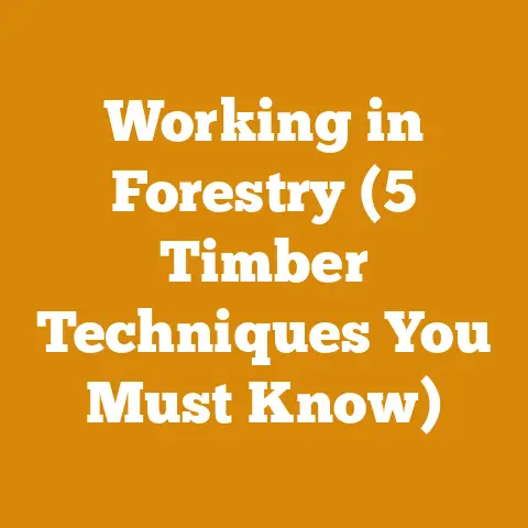 Working in Forestry (5 Timber Techniques You Must Know)