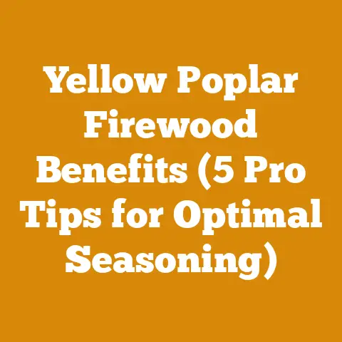 Yellow Poplar Firewood Benefits (5 Pro Tips for Optimal Seasoning)