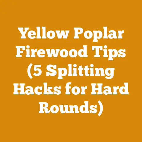 Yellow Poplar Firewood Tips (5 Splitting Hacks for Hard Rounds)