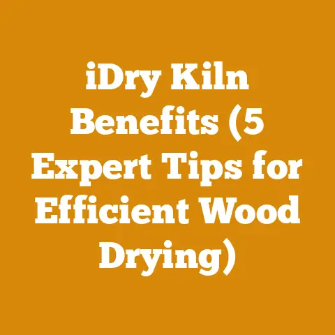iDry Kiln Benefits (5 Expert Tips for Efficient Wood Drying)