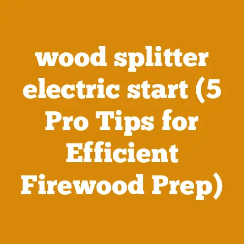 wood splitter electric start (5 Pro Tips for Efficient Firewood Prep)